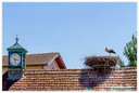 Cigogne 