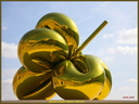 Ballon Flower 