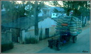 Transport
