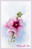 Fleur