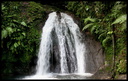 Cascade aux écrevisses