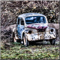 H.D.R 4 Cheveaux