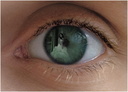 Oeil