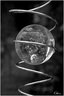 014 La boule