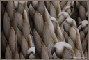 Texture de tapis