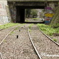 003 Petite Ceinture