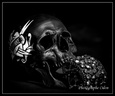 Monochrome 