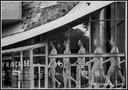 La marche en avant