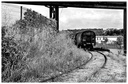 Le train