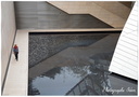 Fondation Louis Vuitton