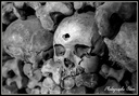 Catacombes de Paris 