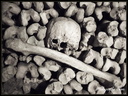 Catacombes de Paris 