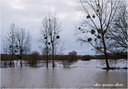 _Inondation