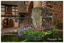 Riquewihr
