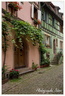 Riquewihr