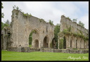 Abbaye des Vaux de Cernay.
