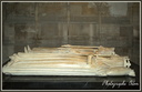 Cathédrale de Saint Denis