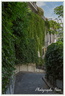 La campagne à Paris