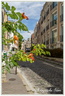 La campagne à Paris