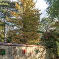 Chateau d'Harcourt 