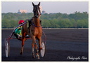 Courses Hippique à Vincennes