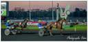 Courses Hippique à Vincennes