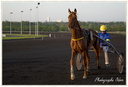 Courses Hippique à Vincennes
