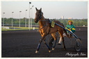 Courses Hippique à Vincennes