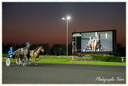 Courses Hippique à Vincennes