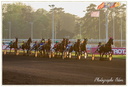 Courses Hippique à Vincennes