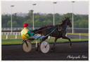 Courses Hippique à Vincennes
