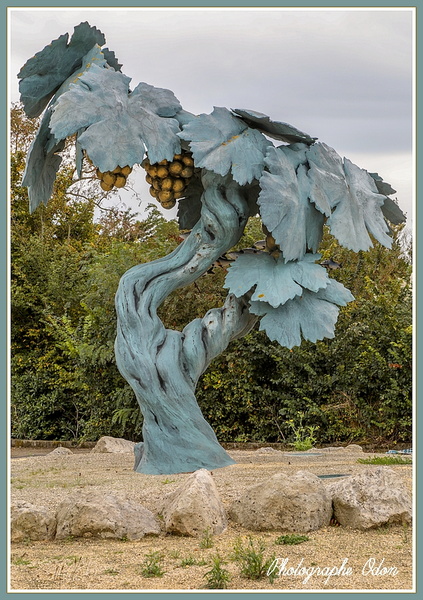 002_La_vigne.jpg
