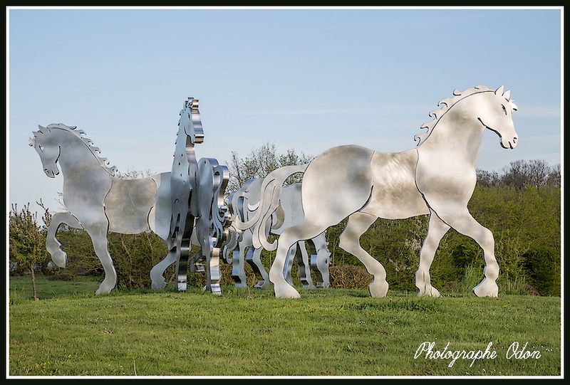 004_Chevaux.jpg