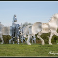 Rond point Normand 