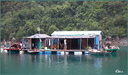 Village Flottant 