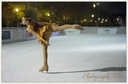 Patinage à Vincennes