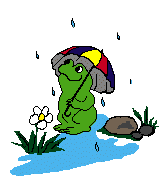 grenouille_pluie