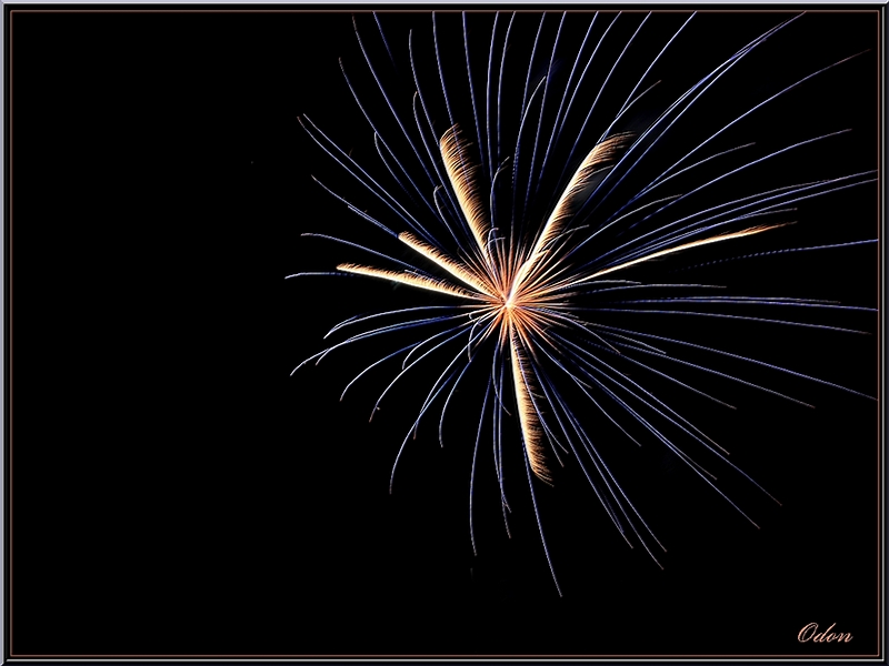 009_Feu_d-artifice.jpg