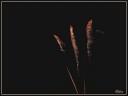 003_Feu_d-artifice.jpg