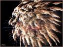 Feu d-artifice