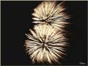 008_Feu_d-artifice.jpg