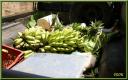 053_Livraison_de_fruits.jpg