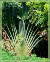 Guadeloupe